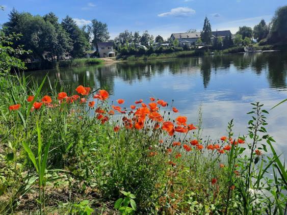 Forteca, Pokoje Goscinne Nad Stawem Dzierżoniów Exterior foto